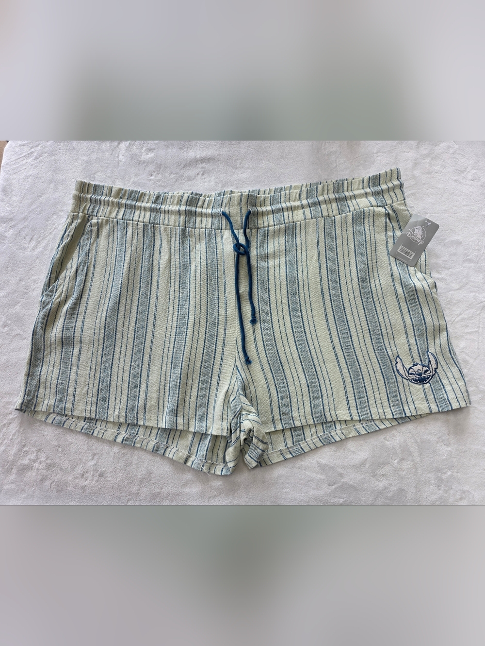 Disney Shorts Plus Size 2X